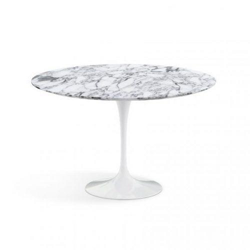 Mesa Tulip