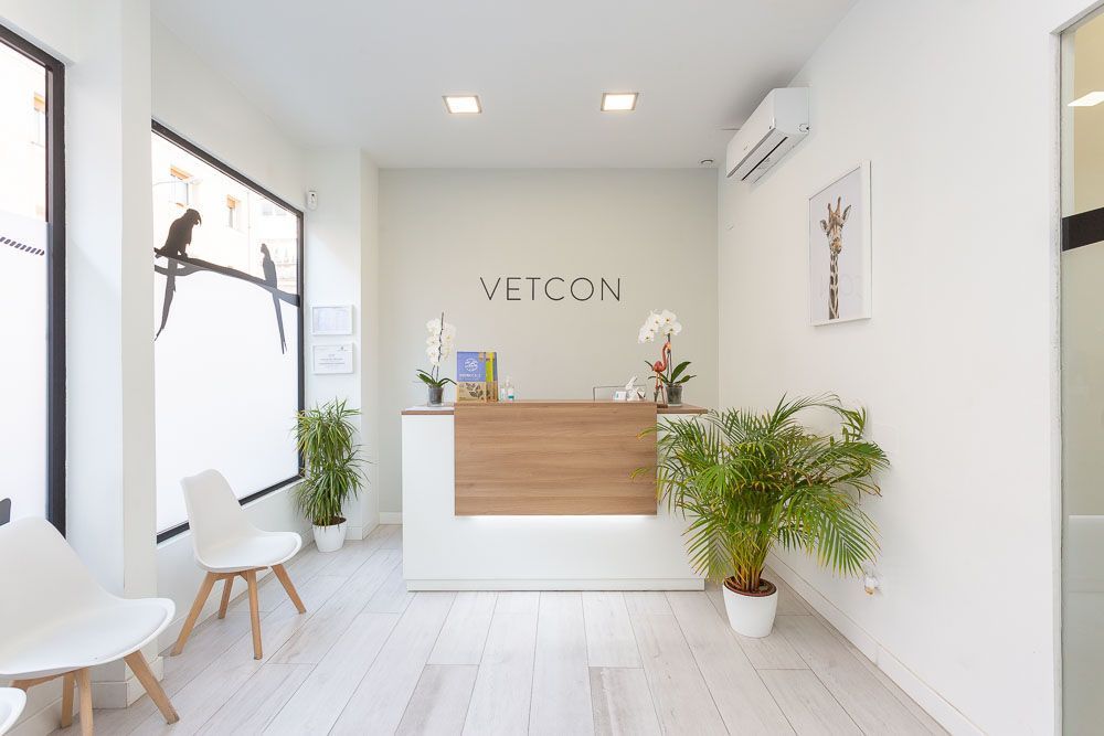 Fotografía de Interiores de locales
